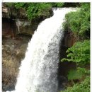 동심의 여행 이미지