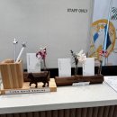 오송 봄봄 동물병원 이미지