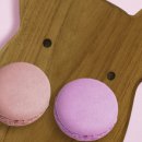 코코환경 이미지