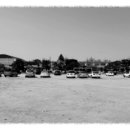 채운초등학교 이미지