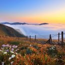 시청역5번출구옆 이미지