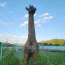 농사체험자동차야영장 티스토리