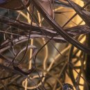 백남준로2 이미지