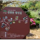 팔공산올레길 4코스 이미지