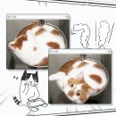 개금동물병원 이미지