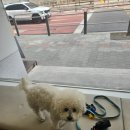 보타닉동물병원 이미지