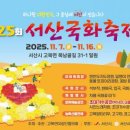 국화 - 제주시 | 국화