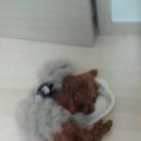 너.애.개 이미지