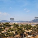 세종동_전월산 무궁화 테마공원 이미지