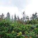 시화호수로3 이미지