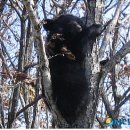 지리산밧데리 이미지