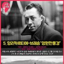 오늘의 강아지 이미지