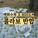 내돈내산) 백화수복 X 800도씨 콜라보 캠핑 반합 / 트레이더스 한정판매 구매후기