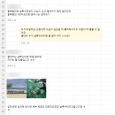 세부-보홀 단독 투어, 여러 투어사 상담 후기 및 최종 선택