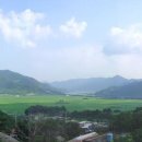 천년의 정원 이미지