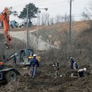 영천시, 상주-영천 개통 앞두고 행정대집행 실시 이미지