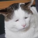 투썸데이타(주) | 안녕. 나의 빛, 나의 악몽