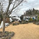 아름다운호야네 | 아름다운호야네 : 제주 서귀포 애견동반숙소 후기