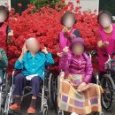 연세실버벨리 이미지