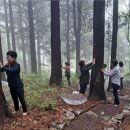 백운산 자연휴양림 야영장 이미지