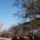 솔바람풍경소리 이미지