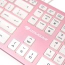 분홍고양이 이미지