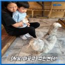 미로동물애견센터 | 홍대 동물 카페[쥬민센터]방문후기!/홍대 애견 카페추천!/홍대아기와가볼만한곳!/홍대이색데이트추천...