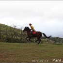 순천승마장 이미지