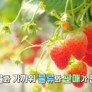 다솜공방