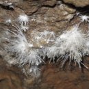 고수동굴 주차장 이미지