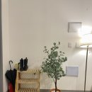 수원-0757 이미지