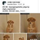 신공항동물병원 이미지