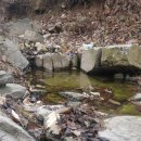 혜성부동산공인중개사사무소 이미지