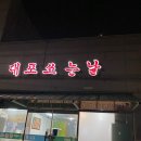 대포쏘는날 이미지