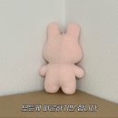 스위트박스
