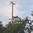 제주촌캉스 이미지