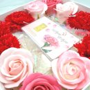 가나선물백화점 이미지