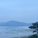 감샵
