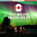 캐나다 여행 9월 10월 옐로나이프 오로라 투어 관측 시기 투어 후기