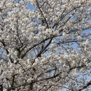 덕풍천동로 이미지