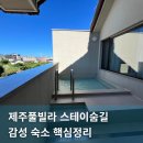 스테이숨길 | 제주풀빌라 스테이숨길 후기 월정리 감성 숙소에서 보낸 하루