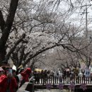 초지공원(상) | 구석기의 비너스와 고대북유라시아인 --- 삼성테크노글라스