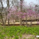 한국폴리텍 I 대학 제주캠퍼스 이미지