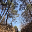 대황강 출렁다리 화장실 | 대황강 출렁다리에서 용산재 트레킹