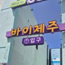 마음을여는풍경민박 | [제주] 5월 제주도 혼여 기록 (힐링과 퀘스트 그어디쯤)
