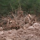 부경에너지 태양광발전소 이미지