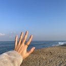 도덕중앙경로식당 | 1박 2일 속초 브루클린 호텔, 맵짠니, 속초 풍년 식당, 속초 중앙시장, 하조대 커피 낙산점, 낙산 해수욕장