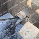 고하대로 이미지