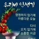 편지않는마음 이미지