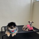 멈무유치원 이미지